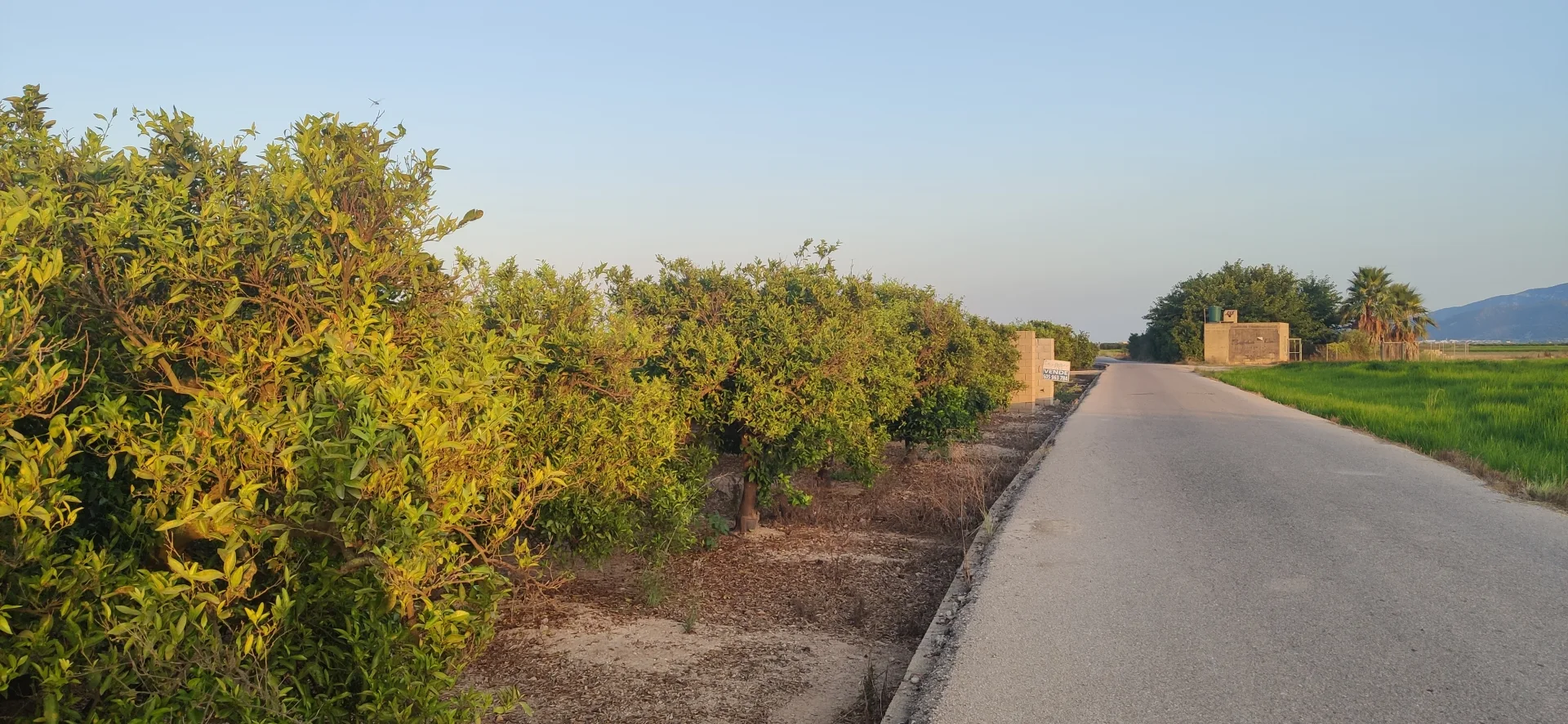 Terreno de naranjos en Fortaleny - Lexmar Inmobiliaria