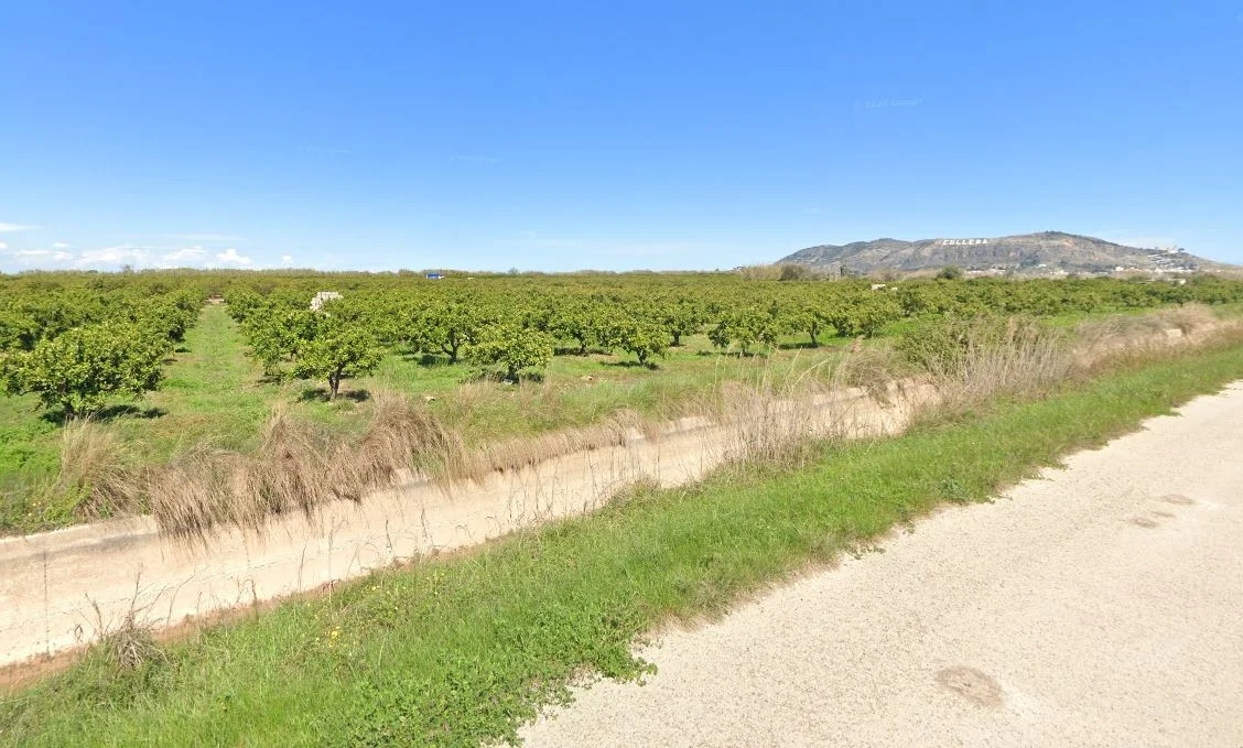 Terreno de naranjos cerca de Cullera - Lexmar Inmobiliaria